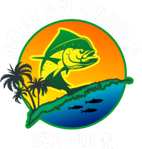 Roatan Urbina Sea Tour