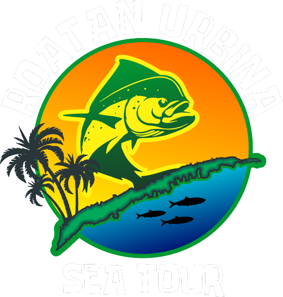 Roatan Urbina Sea Tour